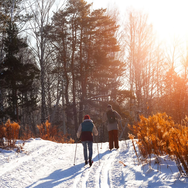 Graves-Oakley Memorial Park, Halifax, NS - Winter Adventures - Nordic Trail  - BRMB Maps